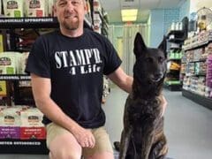 Steve Dog Steve Dog