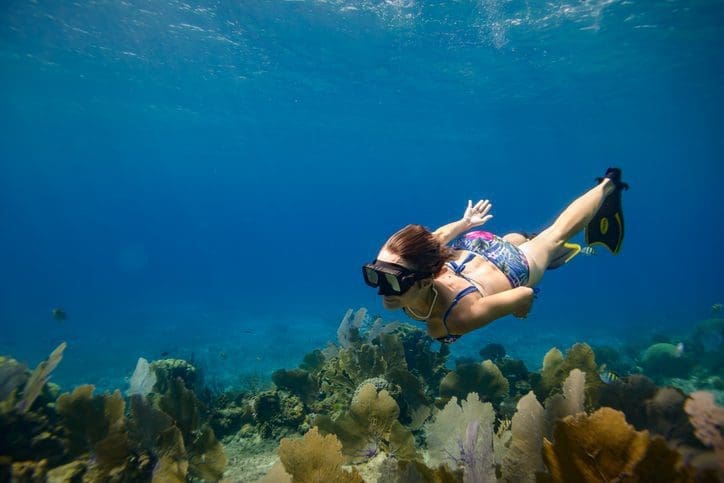 Woman Snorkeling Cozumel Reef,beach access,