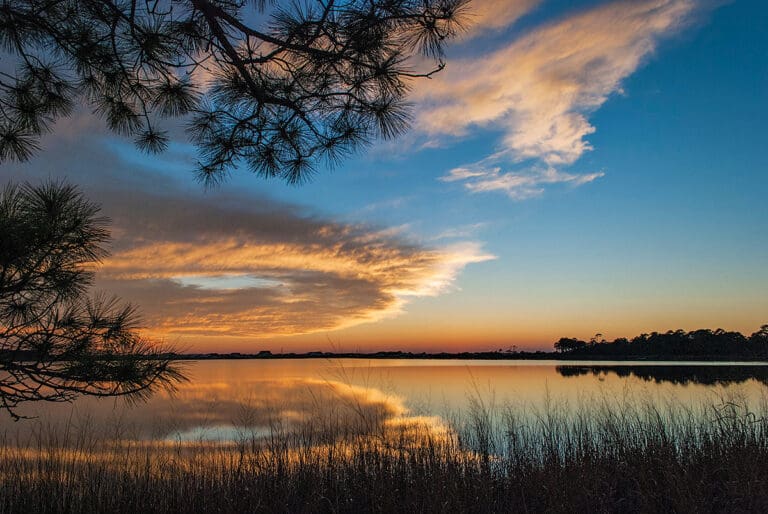 Inspiring Stewardship. Protecting Our Future. Choctawhatchee Basin Alliance 2025 Impact