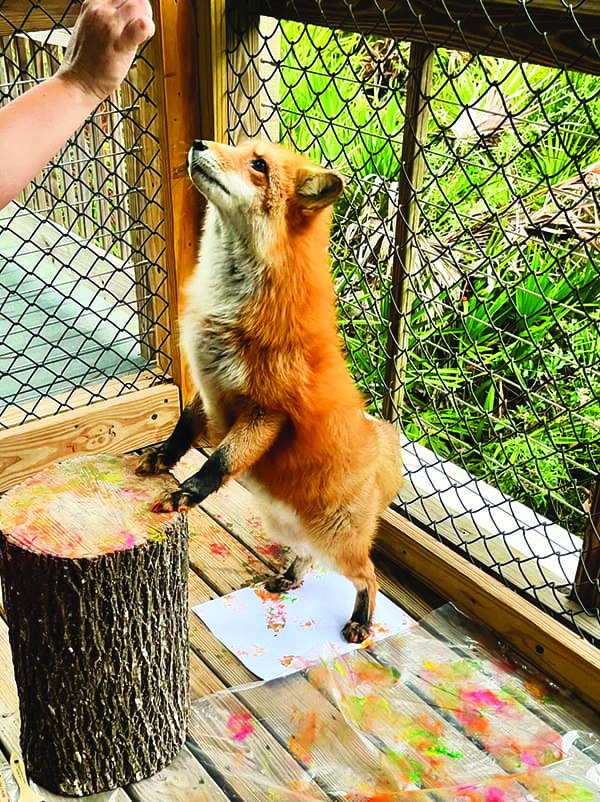 E.O. Wilson Biophilia Center